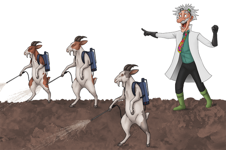 To fertilise the field, the scientist formed a team of goats (forming zygotes) to help begin the development of new crops.